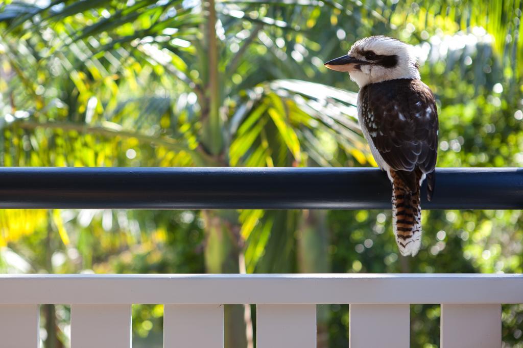 Cavvanbah Beach House Byron Bay Kültér fotó